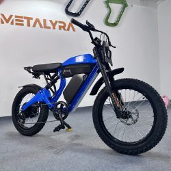Long-Range Electric Bike