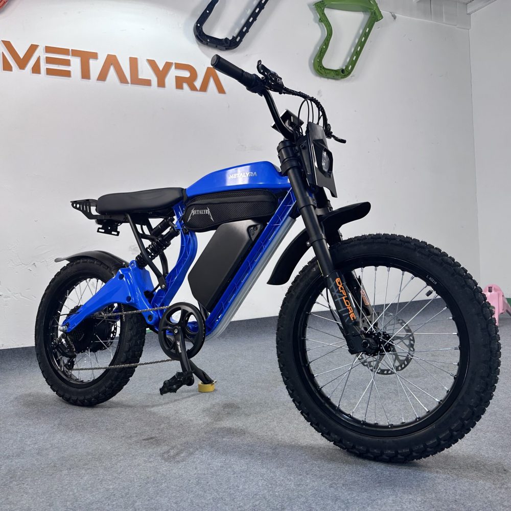 Long-Range Electric Bike