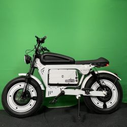 OEM electric bike supplier